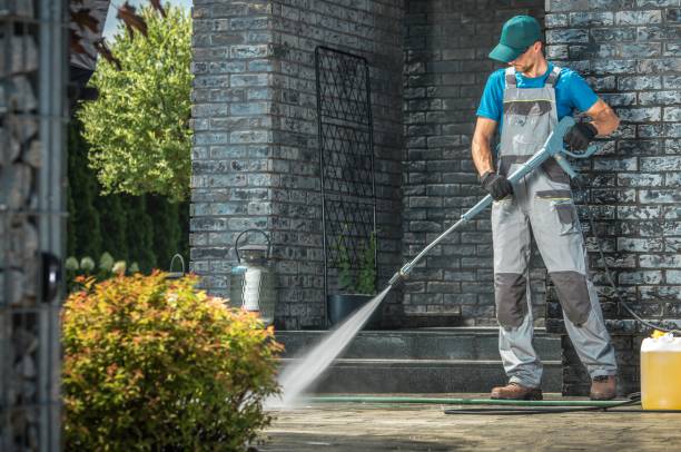 Best House Exterior Washing  in La Blanca, TX