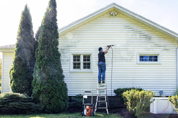 Best Sidewalk and Walkway Cleaning  in La Blanca, TX
