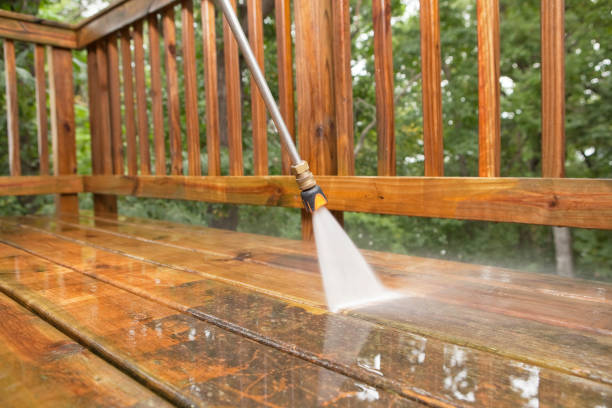Professional  Pressure Washing Services in La Blanca, TX